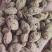 益智仁新货益智无硫水洗货批发各种香料