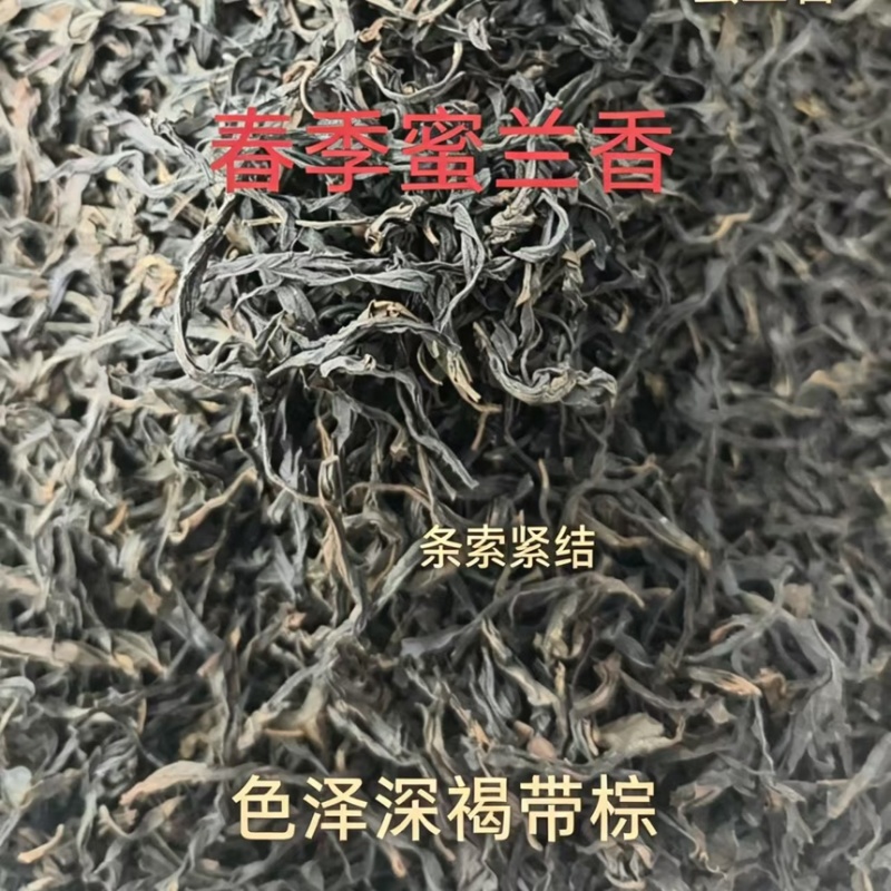 潮州凤凰山特产春季鸭屎香滋味甘醇回甘，耐泡度高。