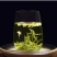 浙江茉莉绿茶
