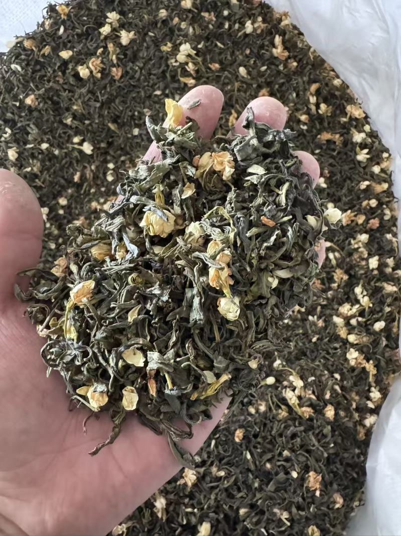 浙江茉莉绿茶