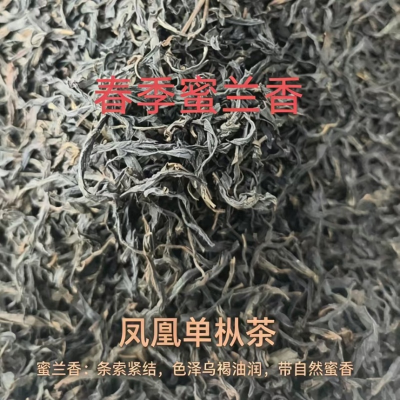 【包邮】凤凰单枞春茶（蜜兰香）香气高扬耐泡度高