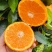 沃柑云南沃柑，一手货源（保质保量）对接批发，电联价格可谈
