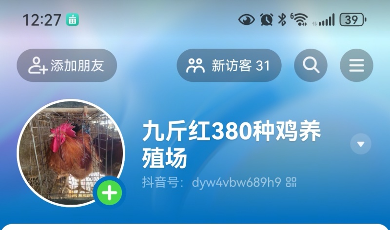 红玉380，九斤红种蛋养殖场直供，长期供应