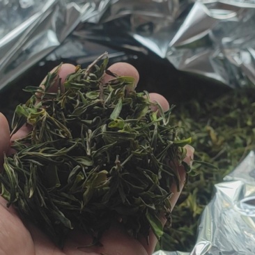无公害好茶，清明之后采摘的，反正喝起来香味足，甜丝丝的