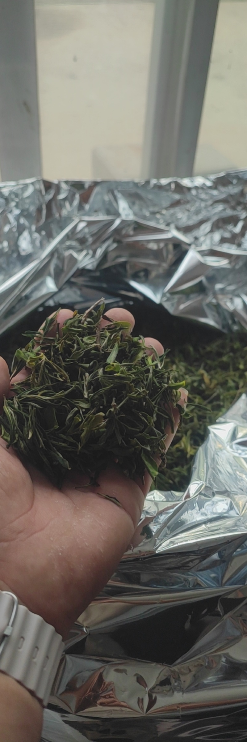 无公害好茶，清明之后采摘的，反正喝起来香味足，甜丝丝的
