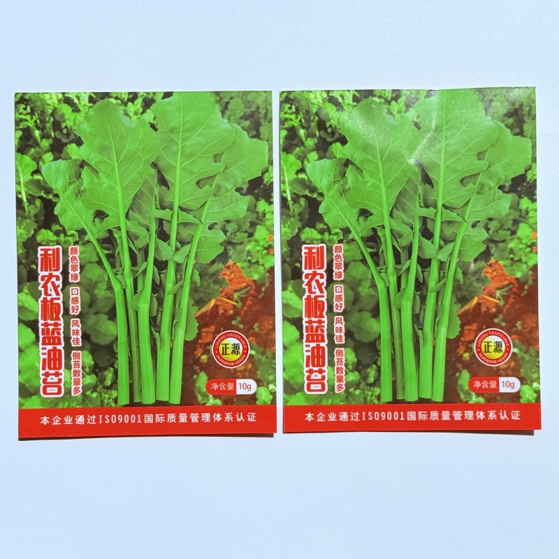 正宗板蓝根青菜种子高产脆嫩好吃油菜苔种子家庭庭院春夏蔬菜