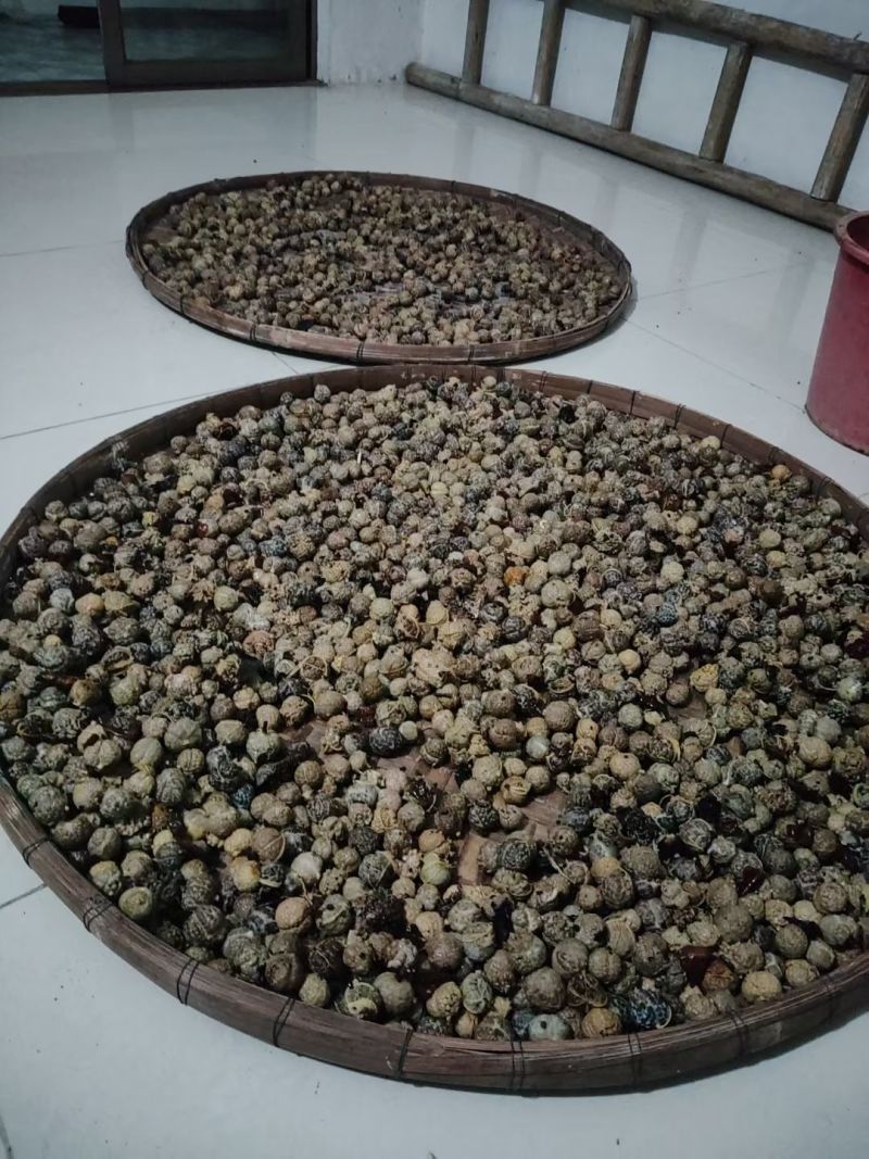 草扣