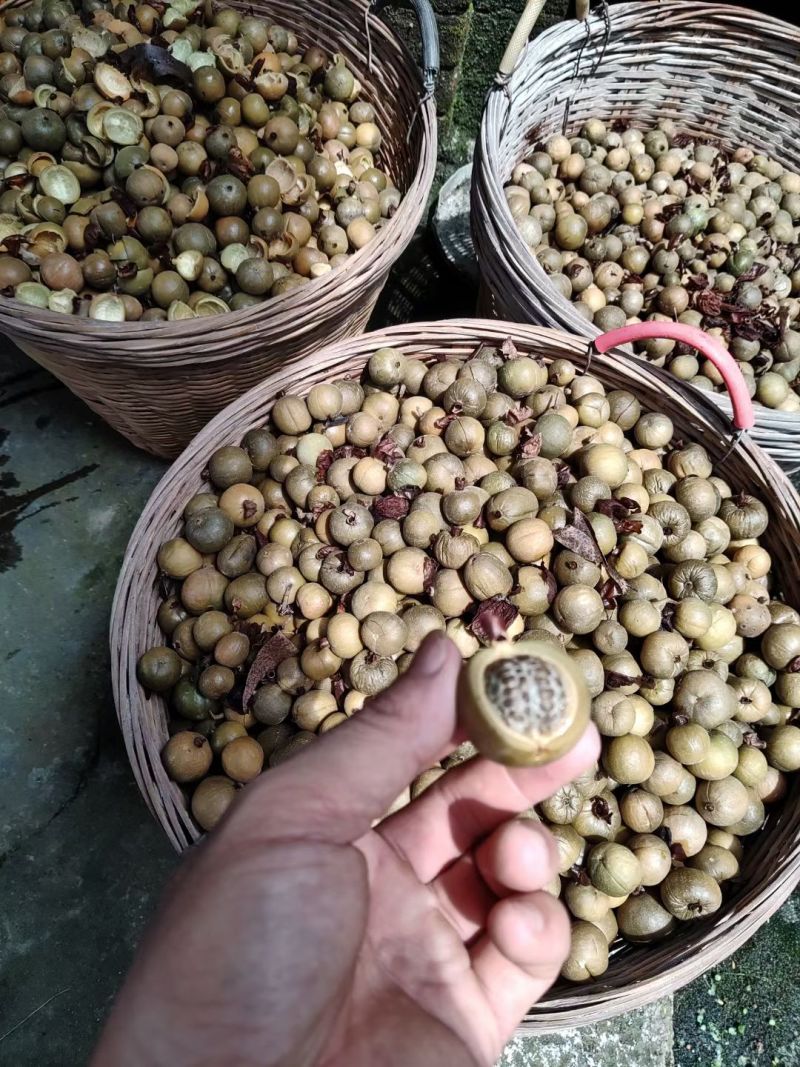 草扣