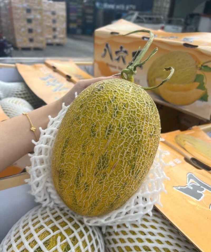 新疆喀什伽师八六王产地直供品种齐全对接全国