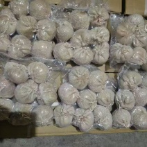 肚包肉内蒙精品肚包肉，工厂直发量大从优货源充足欢迎来电