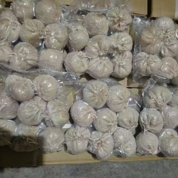 肚包肉内蒙精品肚包肉，工厂直发量大从优货源充足欢迎来电