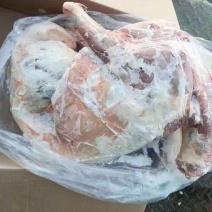 内蒙精品全羊羊肉，工厂直发量大从优货源充足欢迎来电