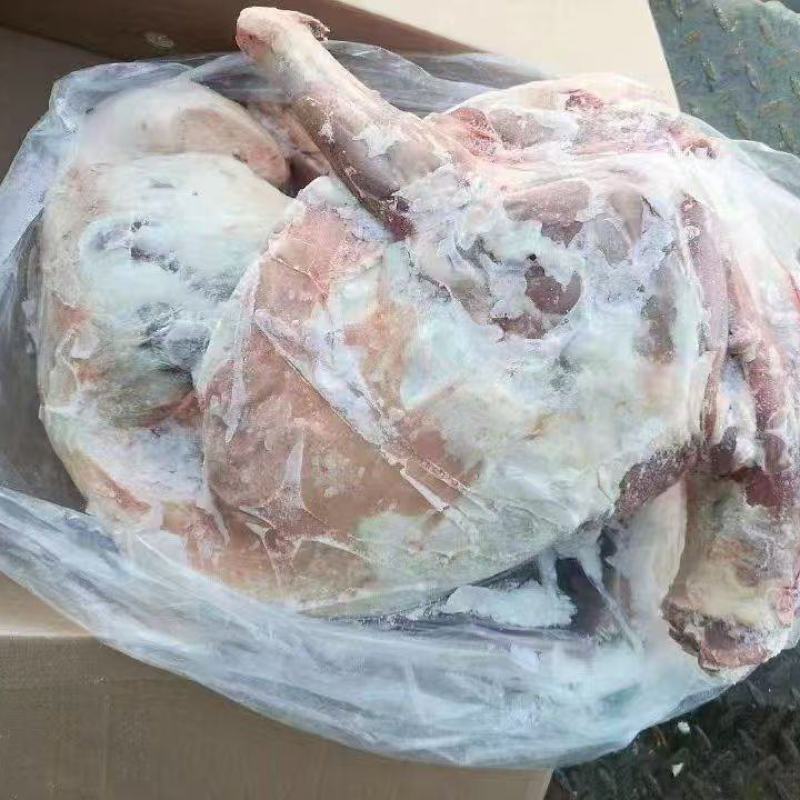 内蒙精品全羊羊肉，工厂直发量大从优货源充足欢迎来电