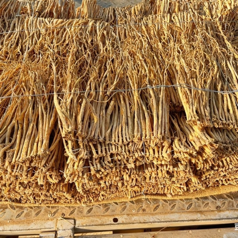 党参/甘肃产区直发/货源充足/大量有货/欢迎选购