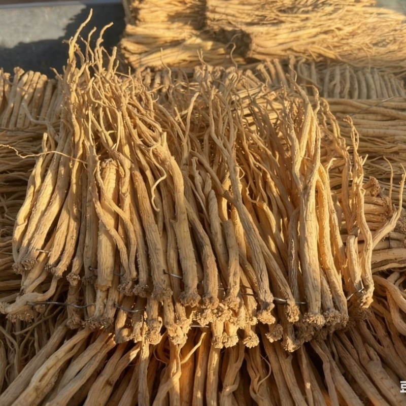 党参/甘肃产区直发/货源充足/大量有货/欢迎选购