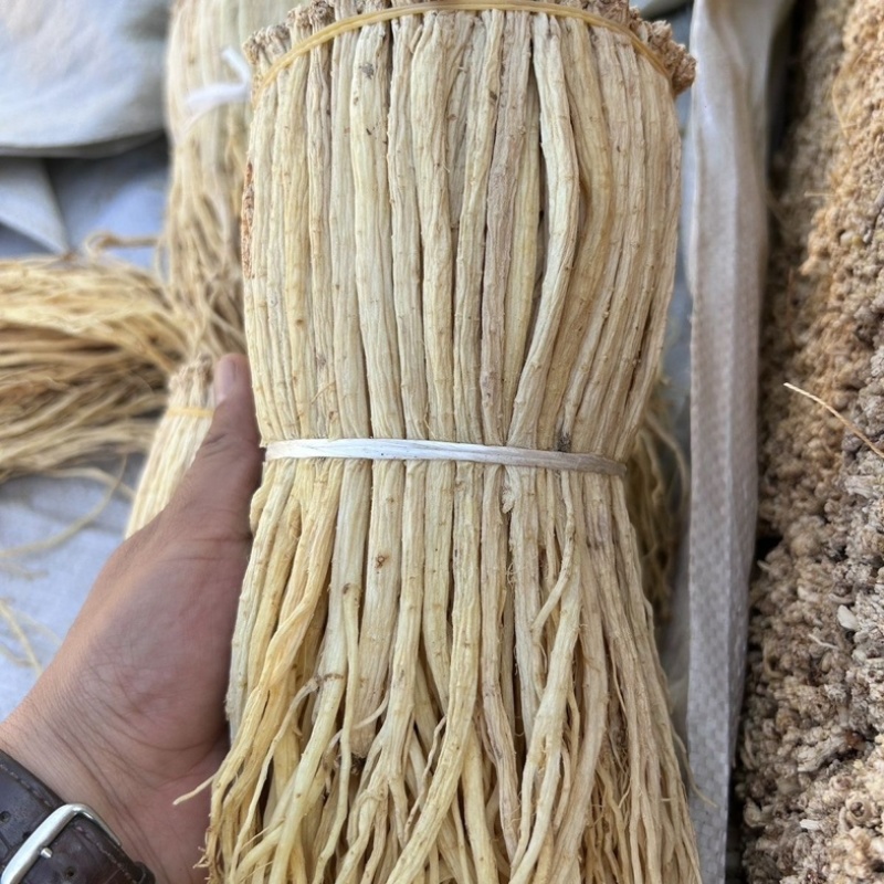 党参/甘肃产区直发/货源充足/大量有货/欢迎选购