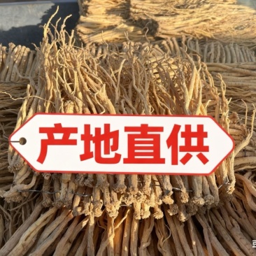 党参/甘肃产区直发/货源充足/大量有货/欢迎选购