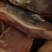 腊肉