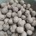 纯野生野洋芋，又名土圞儿，野凉薯，九牛子，土蛋，土栾儿