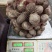 纯野生野洋芋，又名土圞儿，野凉薯，九牛子，土蛋，土栾儿