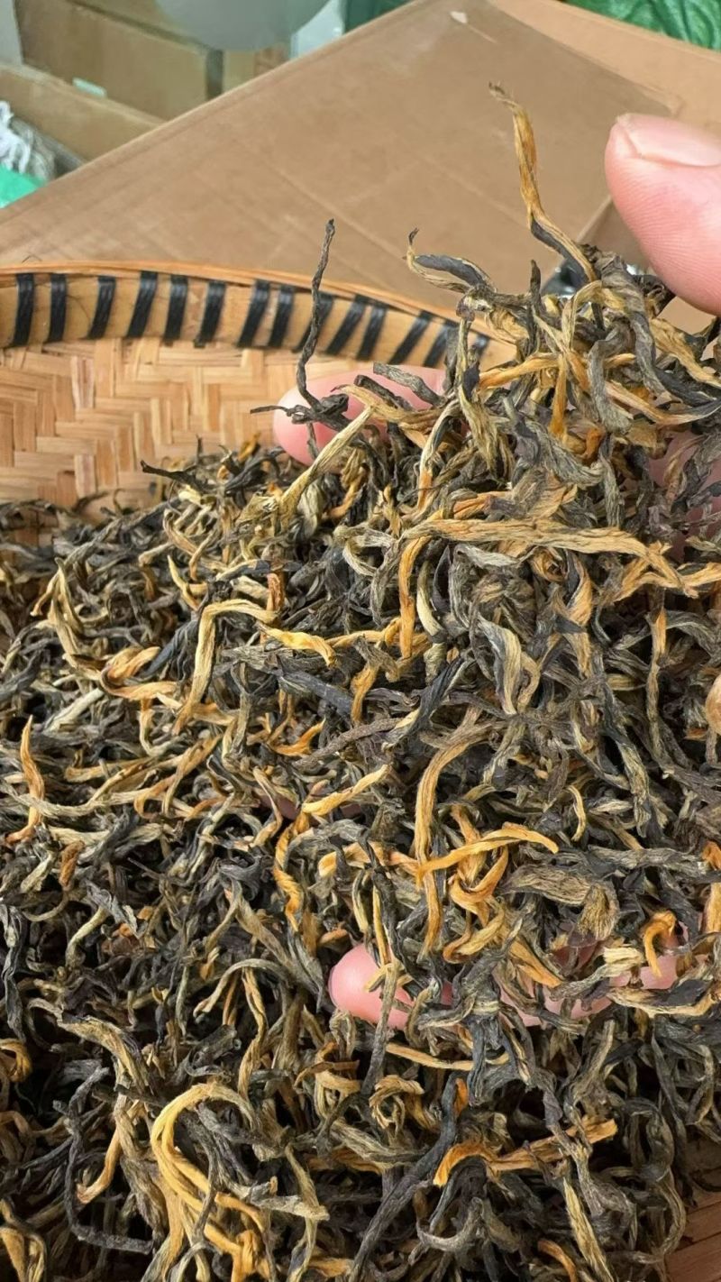 普洱景东高山茶熟茶晒青烘青和滇橄榄茶