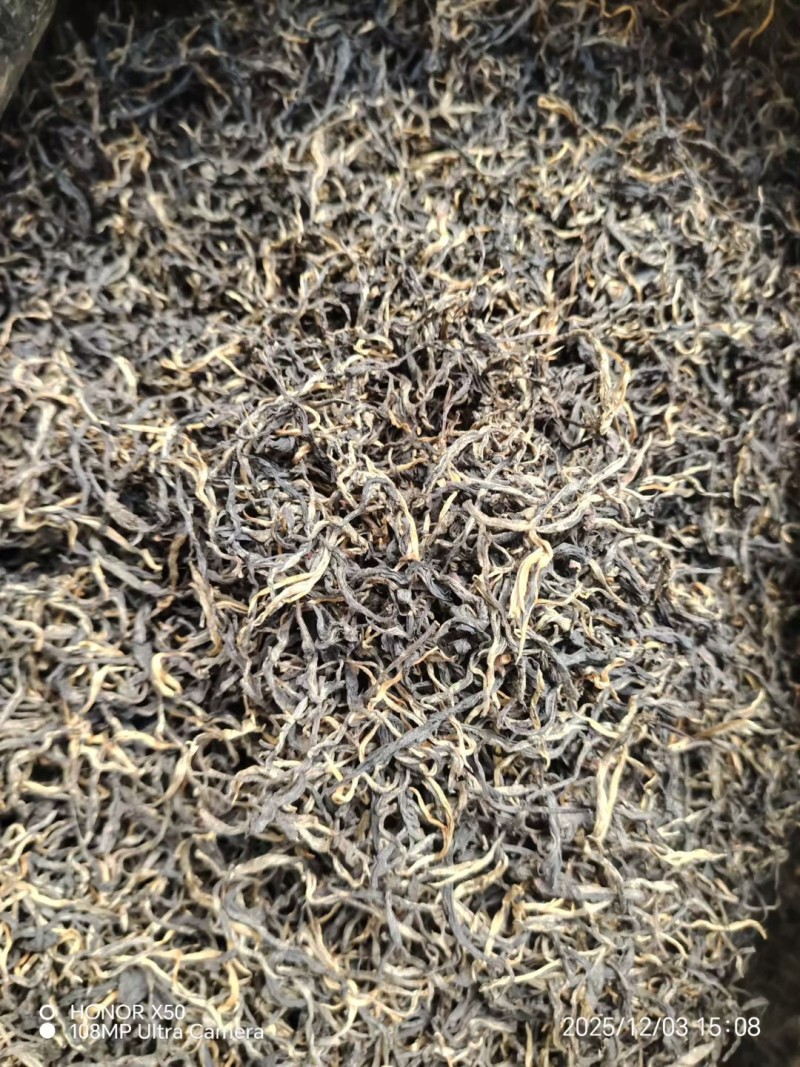普洱景东高山茶熟茶晒青烘青和滇橄榄茶