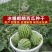 正宗懒汉西瓜苗8424西瓜苗美都红玉各种蔬菜苗
