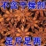 正宗广西无硫八角大料特级八角干香料香八角卤料大茴香香料干