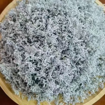 显齿蛇葡萄藤茶（菊茶）