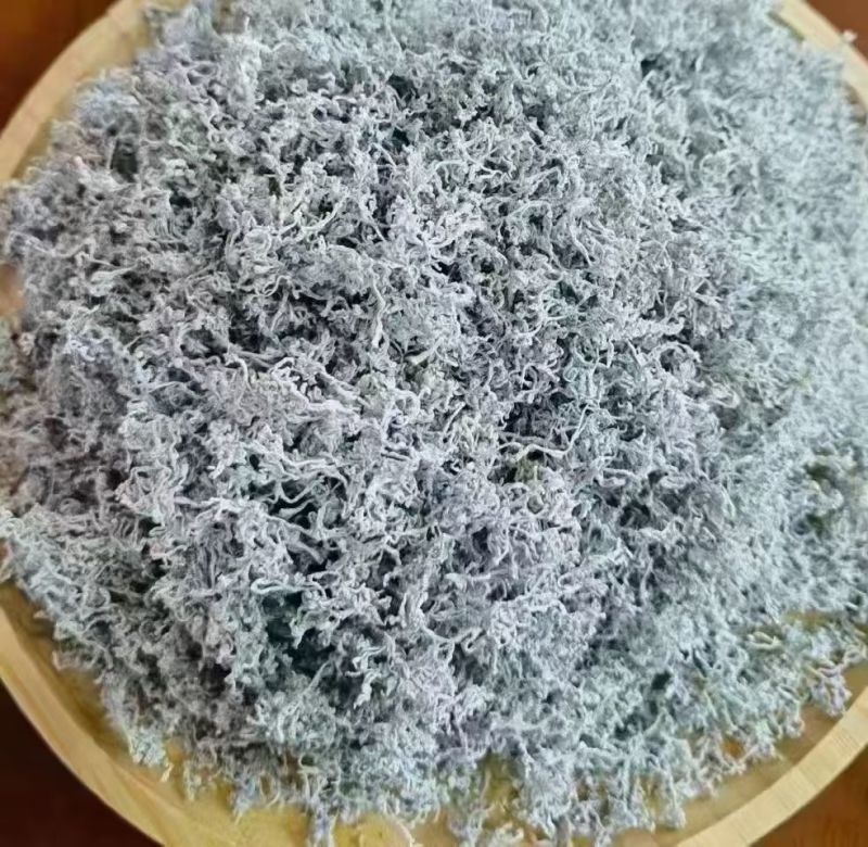 显齿蛇葡萄藤茶（菊茶）