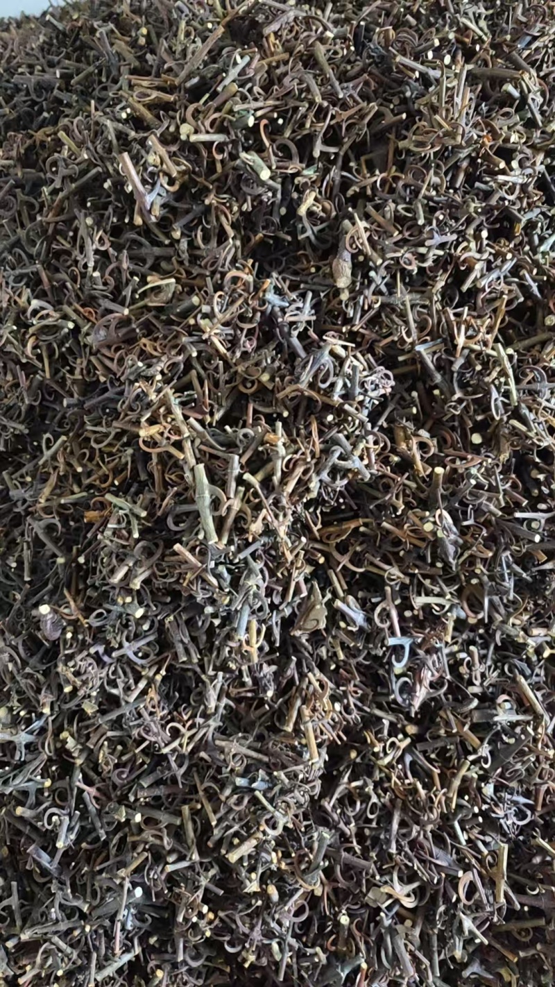 湖南产地钩藤供应商