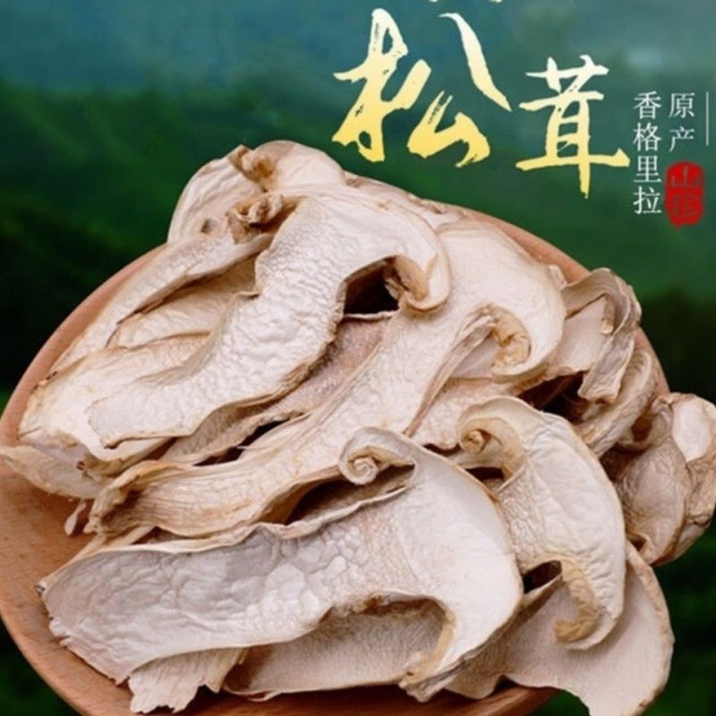 正宗野生雪山松茸干货云南香格里拉松茸菌菇干片新鲜野生菌煲