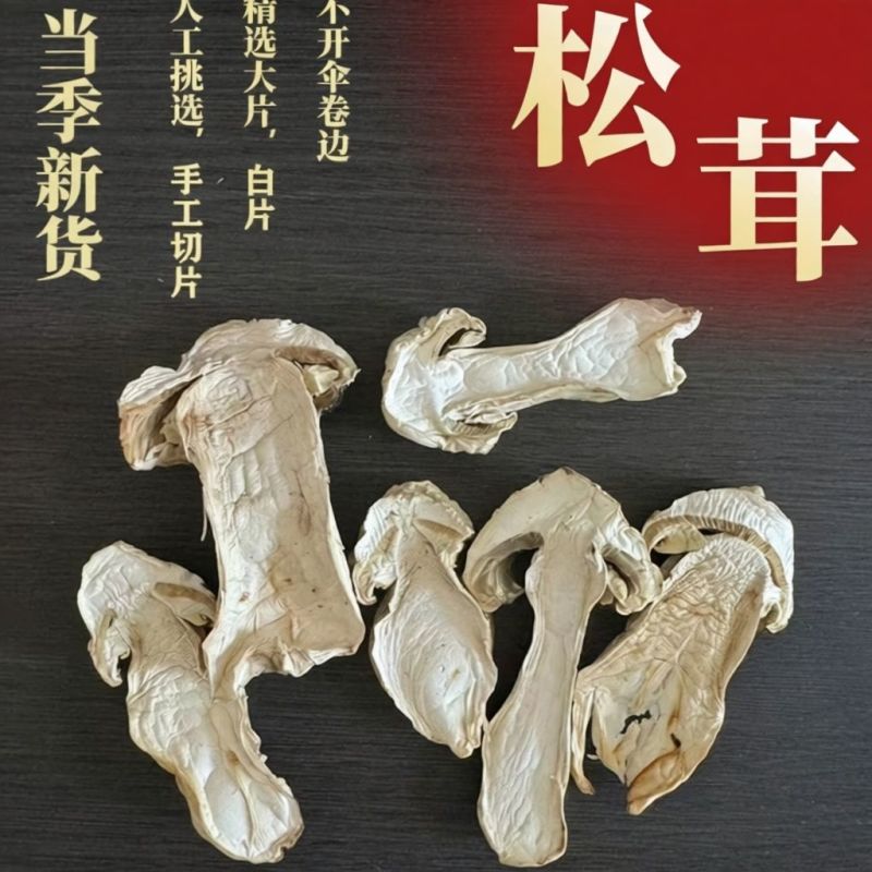 正宗野生雪山松茸干货云南香格里拉松茸菌菇干片新鲜野生菌煲