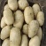 山东土豆黄心土豆大量商超供货、电商代发