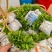 杨梅奶苗大量供应