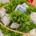 杨梅奶苗大量供应