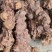 本地白肉土茯苓！粉质高，不变色，一手批发！