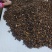 油茶籽#油茶果#大量供应油茶净籽，油茶鲜果