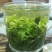 毛尖信阳2026新茶叶雨前口粮茶高山粟香茶场直销炒青绿茶