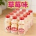 乳酸菌春季**产品