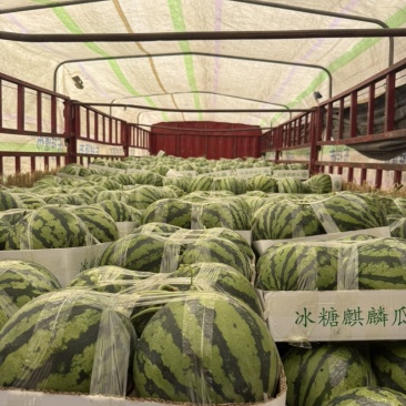 精品通货美都
