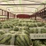 精品通货美都