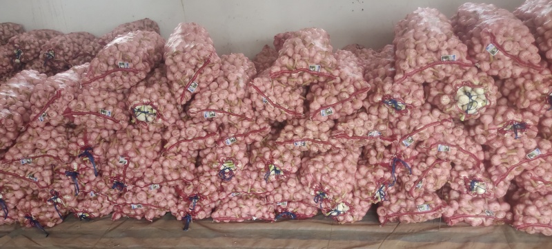 淮阳扒皮蒜！脱水蒜！蒜米料，混级蒜，大量供应，代发全国！
