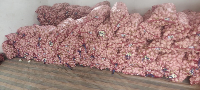 淮阳扒皮蒜！脱水蒜！蒜米料，混级蒜，大量供应，代发全国！