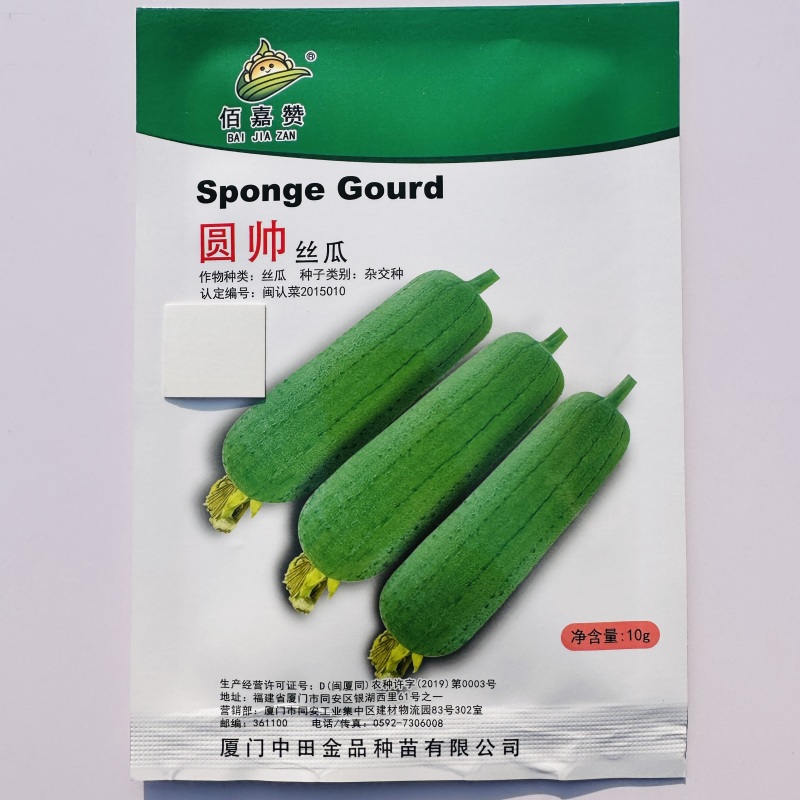 中田金品圆帅丝瓜种子中筒形绿皮肉丝瓜种籽高温不褐色口感
