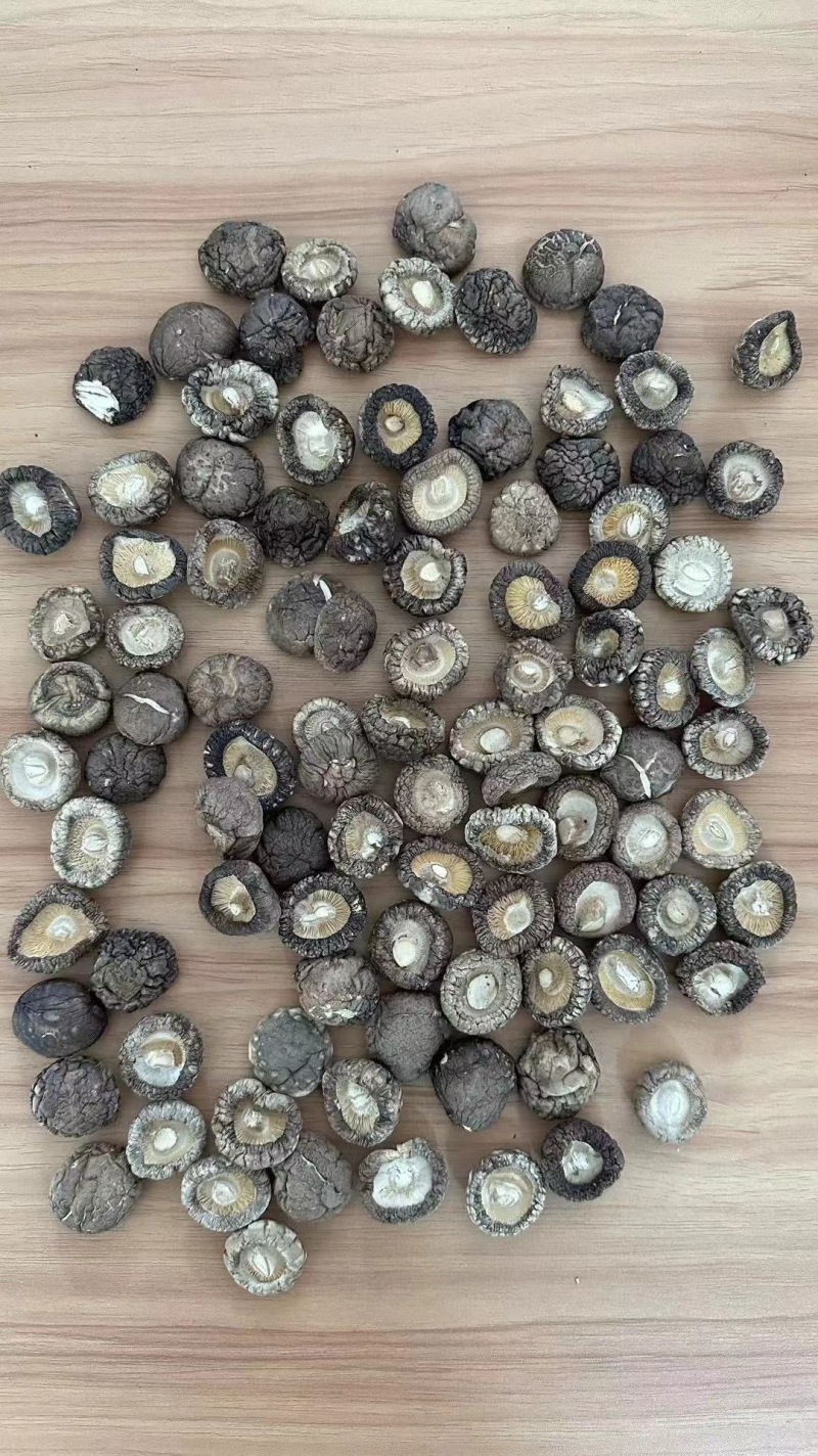 香菇产地直销批发厚肉冬菇西峡小香菇干货剪脚香信菇饭店餐饮