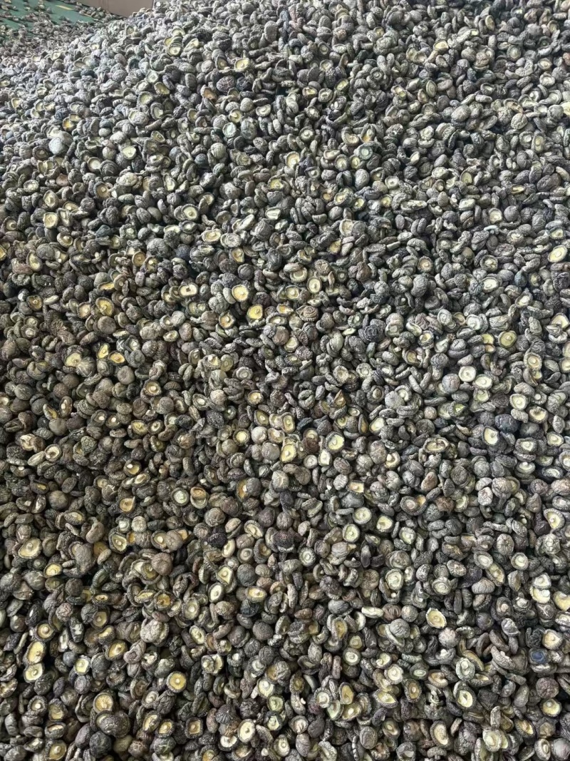 香菇产地直销批发厚肉冬菇西峡小香菇干货剪脚香信菇饭店餐饮