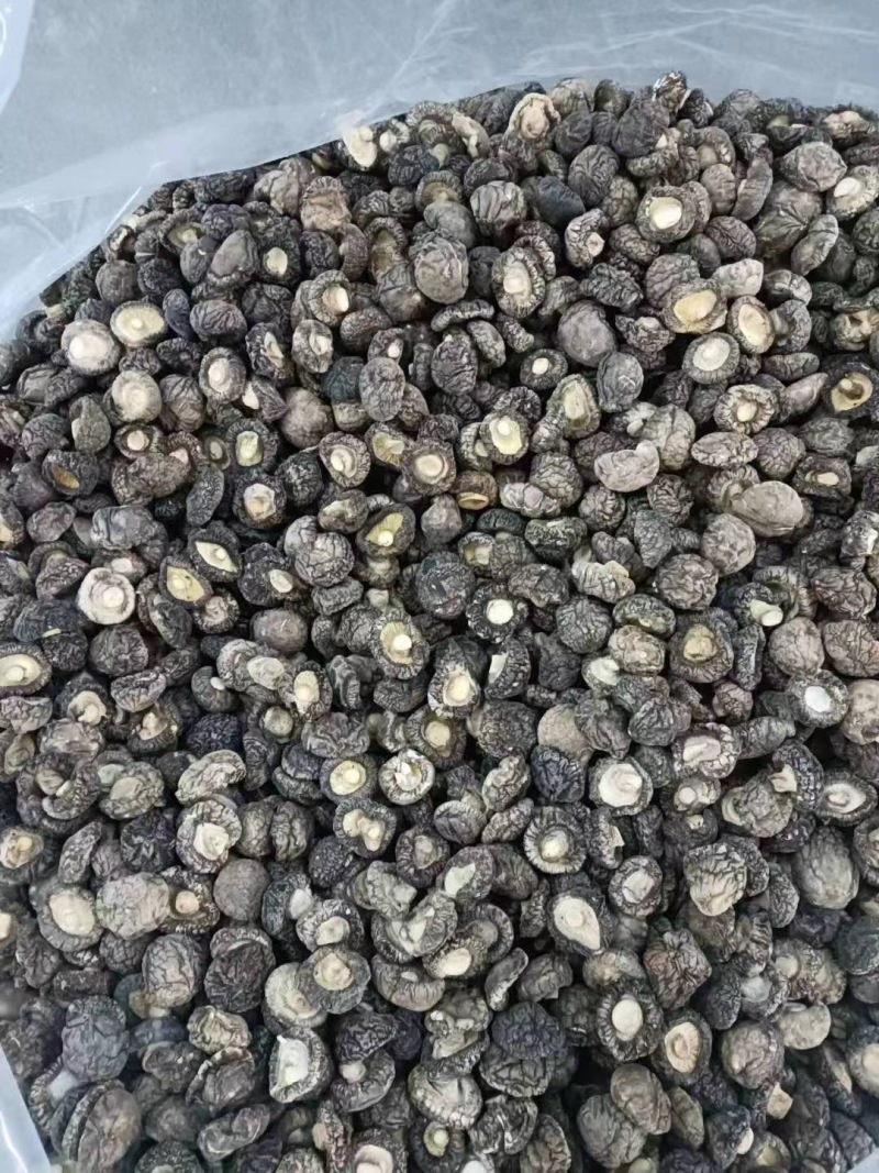 香菇产地直销批发厚肉冬菇西峡小香菇干货剪脚香信菇饭店餐饮