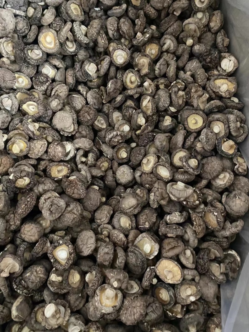 香菇产地直销批发厚肉冬菇西峡小香菇干货剪脚香信菇饭店餐饮