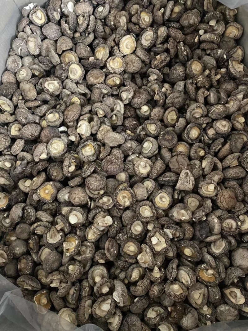 香菇产地直销批发厚肉冬菇西峡小香菇干货剪脚香信菇饭店餐饮